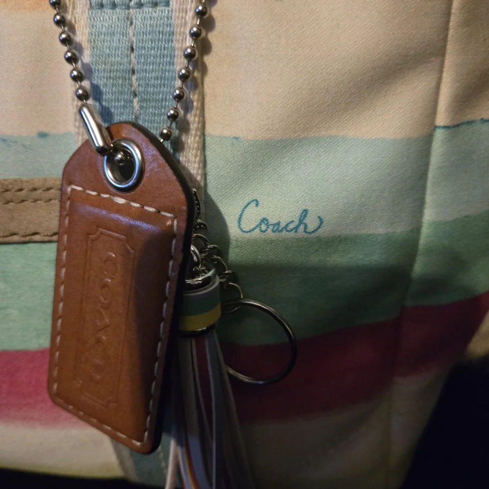 Coach Hampton Sm Tote Multi Color Stripe #10025